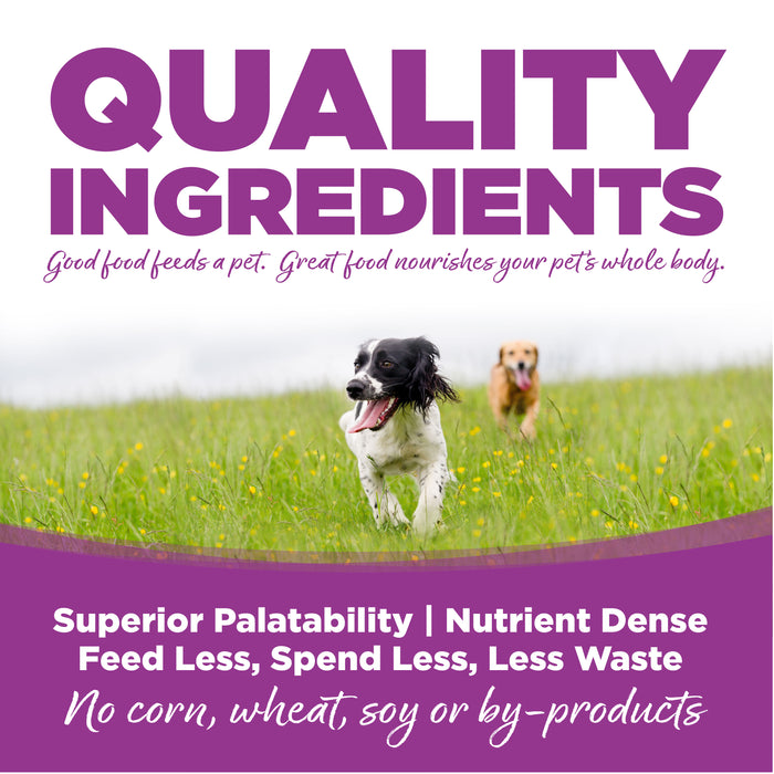 NutriSource Large Breed Puppy Recipe Healthy Puppy Food for Large Breeds Dry Dog Food