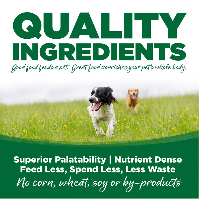 NutriSource Turkey & Rice Recipe Healthy Dry Dog Food