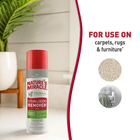Nature's Miracle® Stain and Odor Remover Foam, 17.5oz