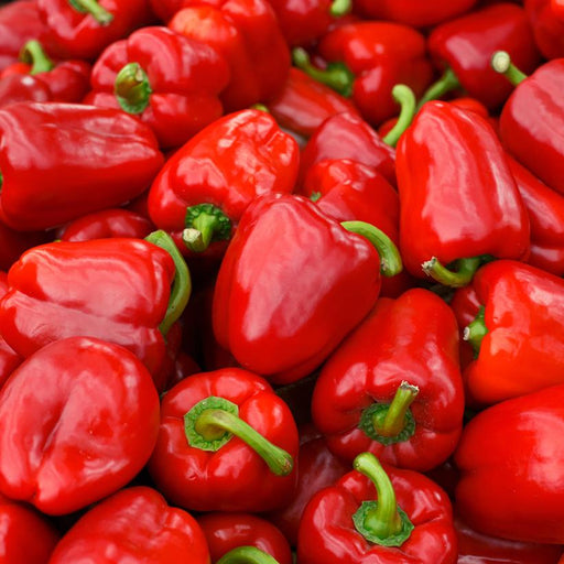 Pepper, Red Delicious Pepper