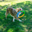 KONG Twistz High-Viz Ring, Large Dog Toy