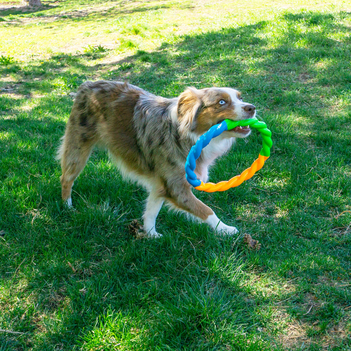 KONG Twistz High-Viz Ring, Large Dog Toy