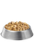 Purina Pro Plan Adult Large Breed Chicken & Rice Entrée Chunks In Gravy Wet Dog Food, 13OZ