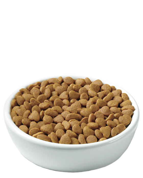 Purina Pro Plan Adult Indoor Salmon & Rice Formula, 3.5lb