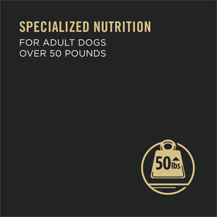 Purina Pro Plan Adult Large Breed Chicken & Rice Entrée Chunks In Gravy Wet Dog Food, 13OZ