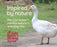 Pet Corrector Dog Training Aid