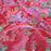 Oak, Scarlet Oak