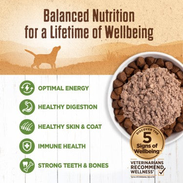 Wellness Natural Grain Free 95%  Lamb Recipe Adult Wet Canned Dog Food