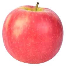 Apple, Pink Lady, 7 gal. (5-7 ft)