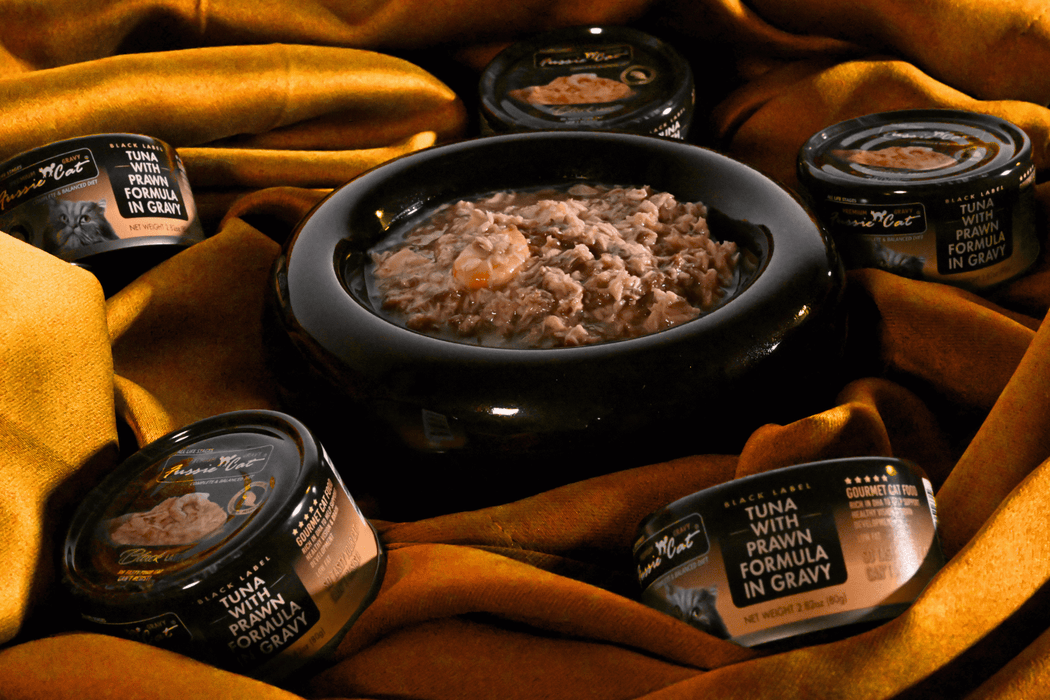Fussie Cat Premium Black Label Tuna with Prawn Formula in Gravy Recipe Cat Food, 2.82oz can