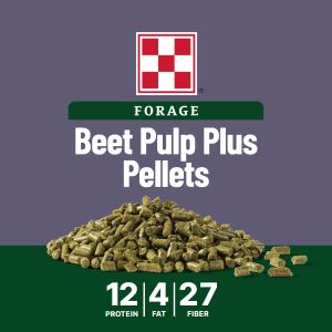 Purina® Forage Beet Pulp Plus Pellets, 40lbs