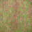 Grass, Purple Lovegrass