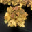 Coral Bells, Caramel Coral Bells