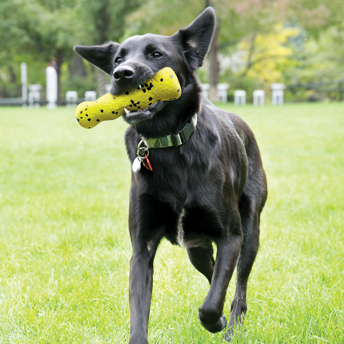 KONG Reflex Stick, Medium Dog Toy
