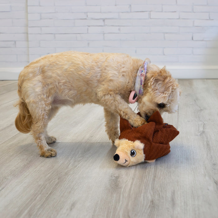 KONG Layerz Forage Hedgehog Dog Toy, Medium