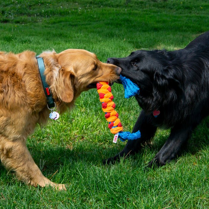 KONG Rope Rally Stick, Medium Dog Toy