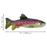 KONG Shieldz Wildz Trout, Medium Dog Toy