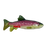 KONG Shieldz Wildz Trout, Medium Dog Toy