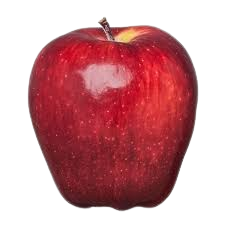 Apple, Red Delicious, 7 gal. (5-7 ft)