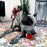 KONG Signature Ball, Medium Dog Toy, 4pk
