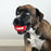 KONG Signature Sport Balls for Dogs 3pk