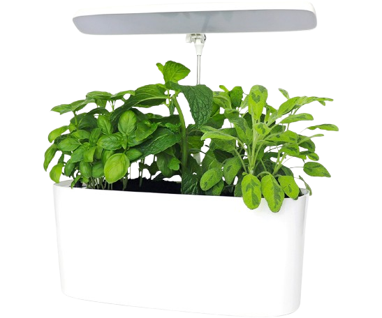 SunBlaster Nano Growlight Garden, w/ LED Grow Light, Timer and Adapter ...