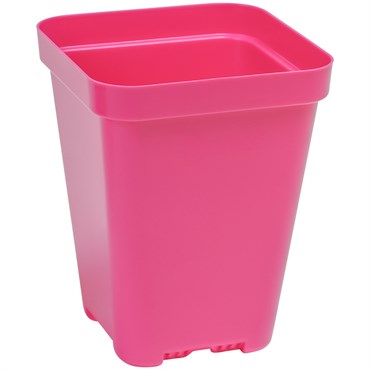 Sunpack 3.3" Square Pot, Magenta