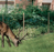 Dalen Deer Netting 7'x100'