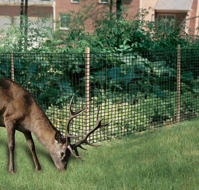 Dalen Deer Netting 7'x100'