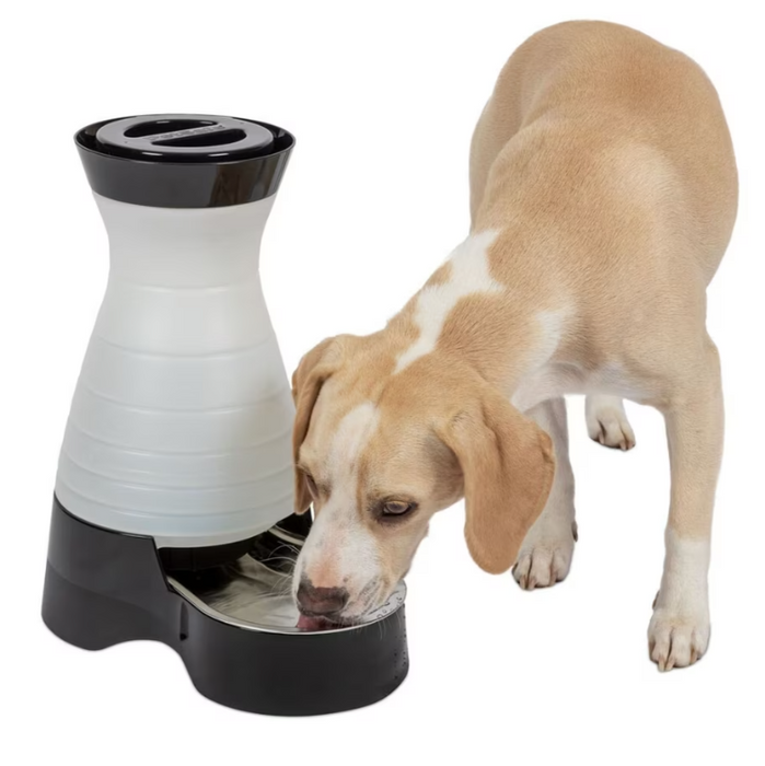 Healthy Pet Water Station, Large 1 GAL