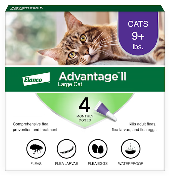 Elanco Advantage II Large Cat