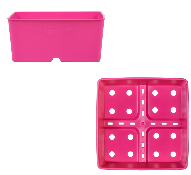 Sunpack 5" Square Pot, Magenta