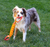 KONG MAXX Tug, Large Dog Toy