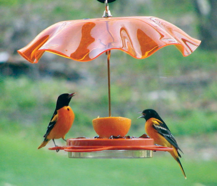 Oriole Nectar Feeder with Cover - 12 oz