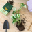 Enrich Powder Organic Plant Food and Soil Amendment for Potted Plants, 14oz