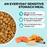 KOHA Limited Ingredient Dry Bland Diet Salmon Brown Rice Recipe with Pumpkin for Dogs