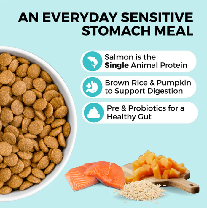 KOHA Limited Ingredient Dry Bland Diet Salmon Brown Rice Recipe with Pumpkin for Dogs
