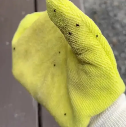 TiCK MiTT Microfiber Tick Remover
