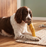 Dogginstix Beef Feet Dog Chew