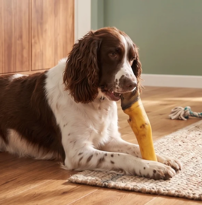Dogginstix Beef Feet Dog Chew