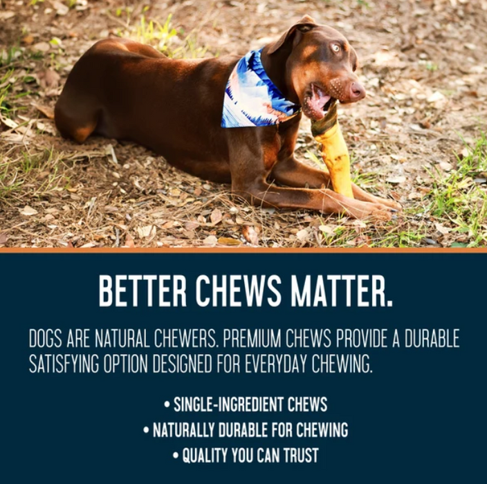 Dogginstix Beef Feet Dog Chew