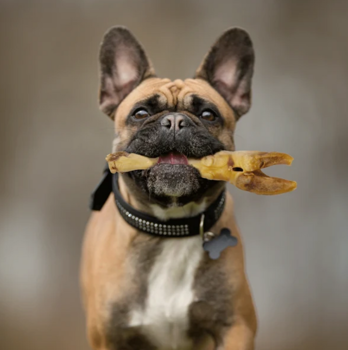 Dogginstix Lamb Feet Dog Chew