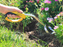 Skidger 16.25" Stainless Steel Weeder