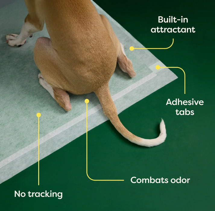 Earth Rated Pee Pads