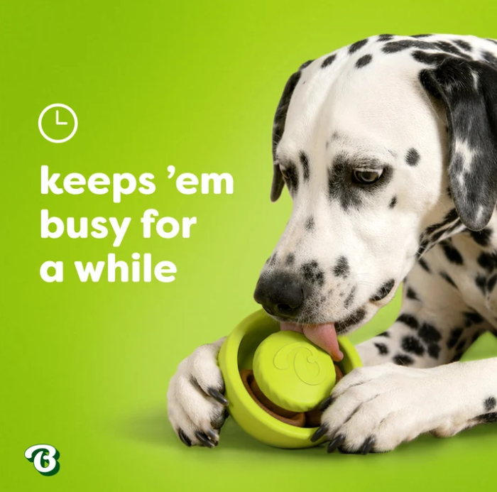Benebone Tongue Twister Treat Puzzle Dog Toy