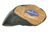 Barkworthies Dog Bootie Beef Peanut Butter 4"