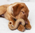 Benebone Beef Tripe Bone Dog Chew Toy
