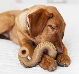 Benebone Beef Tripe Bone Dog Chew Toy
