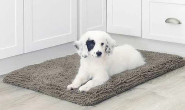 The Original Dirty Dog Doormat, Black Hue