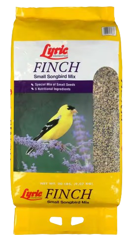 Lyric Finch Bird Food